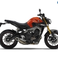 Yamaha-MT-09-2014-041