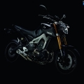 Yamaha-MT-09-2014-042