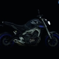 Yamaha-MT-09-2014-056