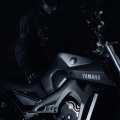 Yamaha-MT-09-2014-061