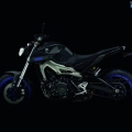 Yamaha-MT-09-2014-076