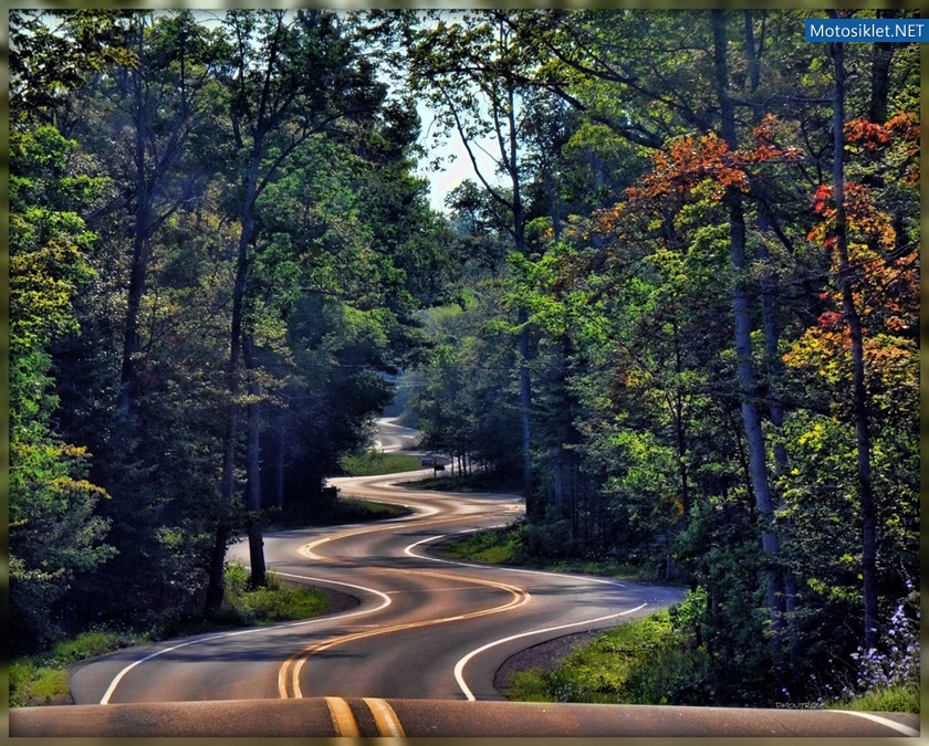 ZOR-YOLLAR-029