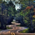 ZOR-YOLLAR-029