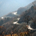 ZOR-YOLLAR-039