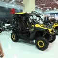 Can-Am-Standi-017