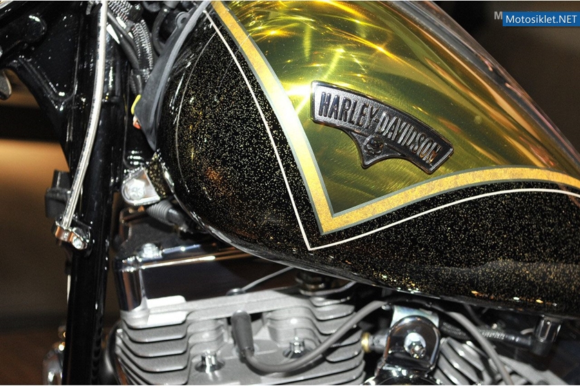 HarleyDavidson-MilanoMotosikletFuari-015