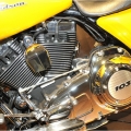 HarleyDavidson-MilanoMotosikletFuari-010