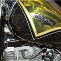 HarleyDavidson-MilanoMotosikletFuari-015