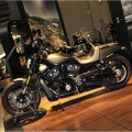 HarleyDavidson-MilanoMotosikletFuari-033