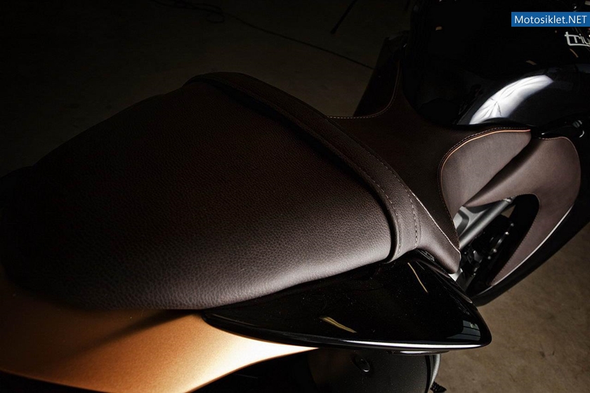 CustomBikeBulldog-by-Vliner-TriumphSpeedTripple-006