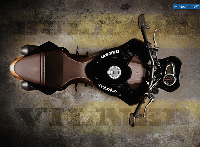 CustomBikeBulldog-by-Vliner-TriumphSpeedTripple-010