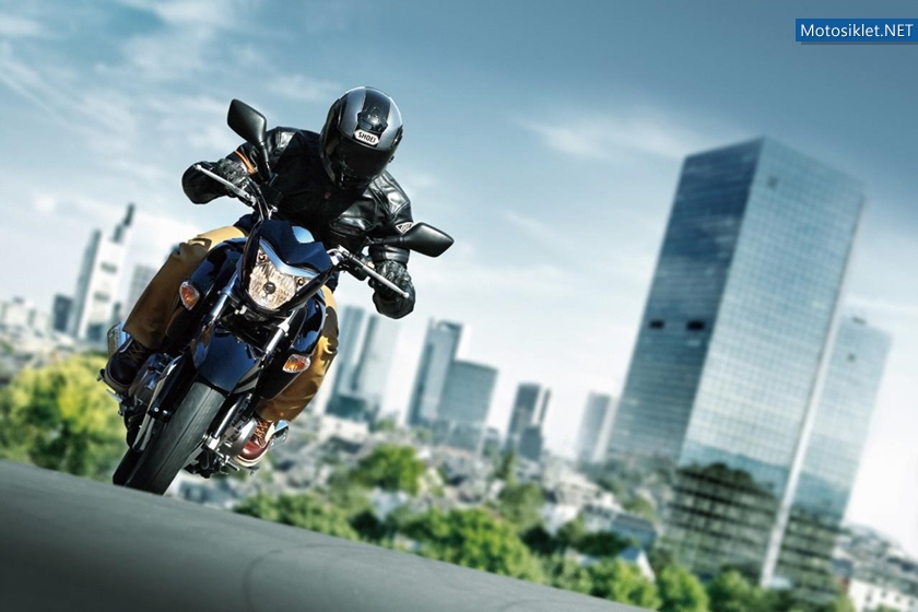 SuzukiInazuma-250-2012-013