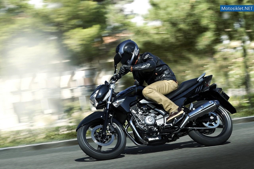 SuzukiInazuma-250-2012-057