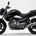 SuzukiInazuma-250-2012-014