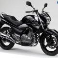 SuzukiInazuma-250-2012-020