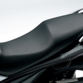 SuzukiInazuma-250-2012-024