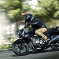SuzukiInazuma-250-2012-057