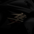Suzuki-GSX-R1300-Hayabusa-2013-Model-007