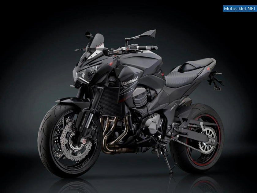 2013Kawasaki-Z800-RizomaAksesuar-Seti-004