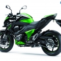 Kawasaki-Z800-2013-Model-008