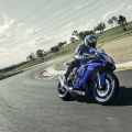 yamaha-r1-2017-colorazioni_13