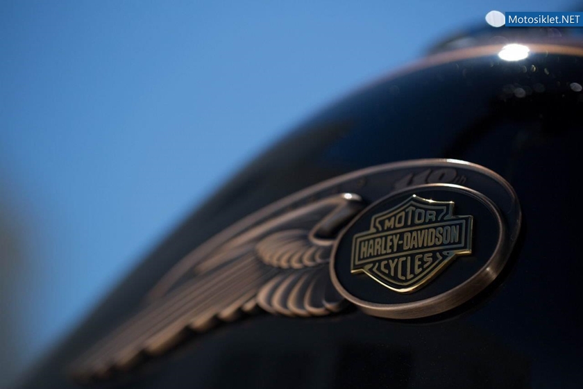 HarleyDavidson-110.YilOzelSeri-2013Model-003