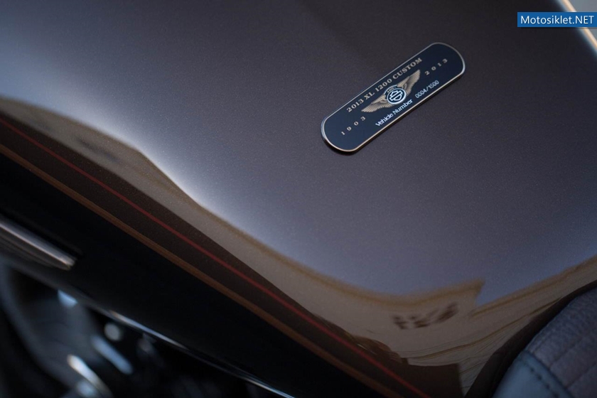HarleyDavidson-110.YilOzelSeri-2013Model-004