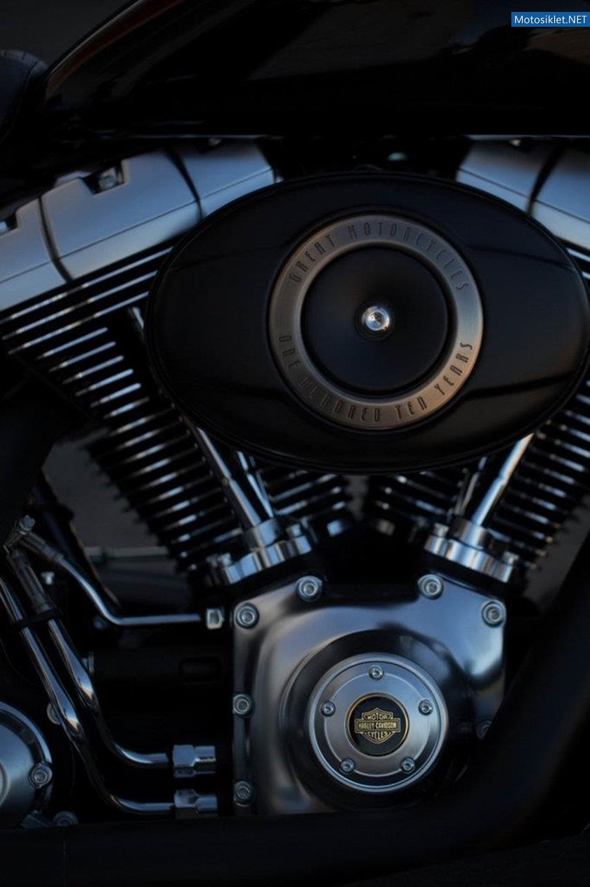 HarleyDavidson-110.YilOzelSeri-2013Model-005