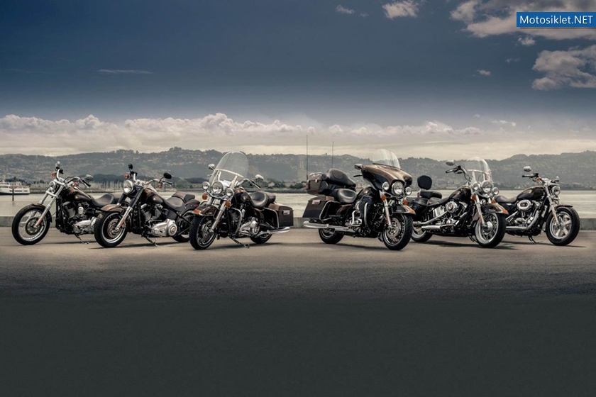 HarleyDavidson-110.YilOzelSeri-2013Model-006