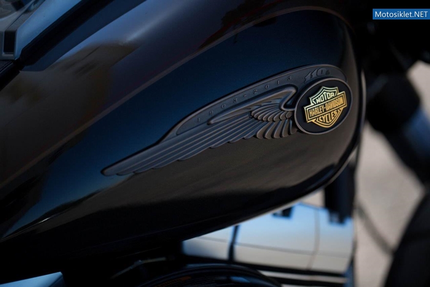 HarleyDavidson-110.YilOzelSeri-2013Model-009