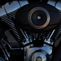 HarleyDavidson-110.YilOzelSeri-2013Model-005
