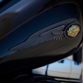 HarleyDavidson-110.YilOzelSeri-2013Model-009