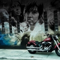 Harley-Davidson-Wynwood-013