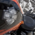 Harley-Davidson-Wynwood-015