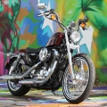 Harley-Davidson-Wynwood-022
