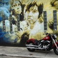 Harley-Davidson-Wynwood-038