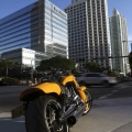 Harley-Davidson-Wynwood-041