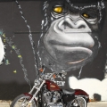Harley-Davidson-Wynwood-046