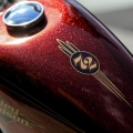 Harley-Davidson-Wynwood-049