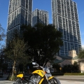 Harley-Davidson-Wynwood-059