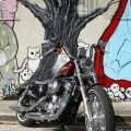 Harley-Davidson-Wynwood-060