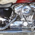 Harley-Davidson-Wynwood-065
