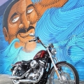 Harley-Davidson-Wynwood-067