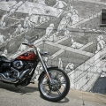 Harley-Davidson-Wynwood-075