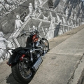 Harley-Davidson-Wynwood-077