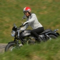 MotoGuzziV7-Gamma-2012-003