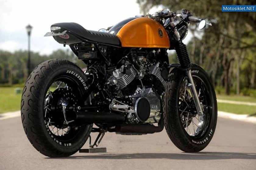 Docs-Chop-Virago-Xv750f-002