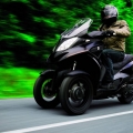 Quadro-350D-2012-017