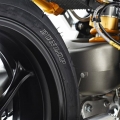 Ariel-Ace-021