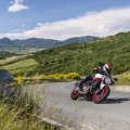 Ducati-Monster-821-011